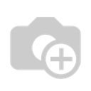 ELECTRIC MOTOR